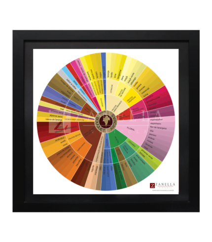 Quadro Bouquet Aromas Vinhos (Disco)